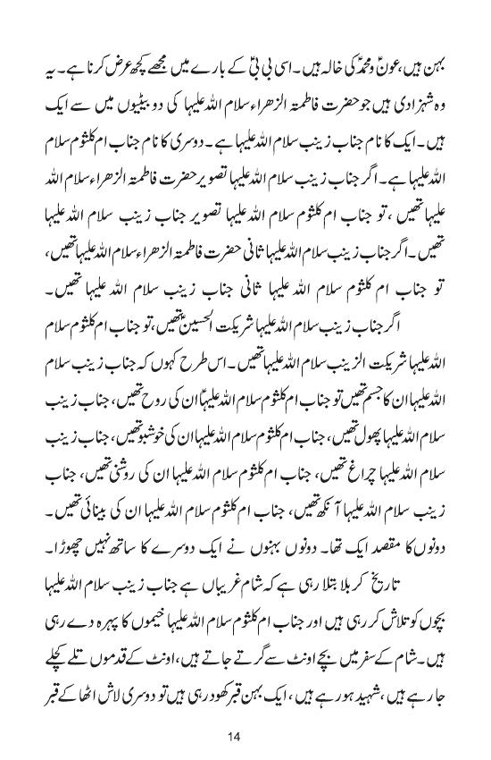 Book 1 - Page 14